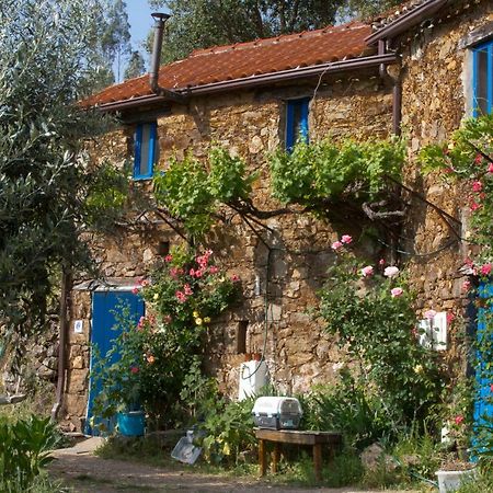 Guest Room Agro-Turismo Quinta Da Fonte Bed&Breakfast Figueiro Dos Vinhos Exterior foto
