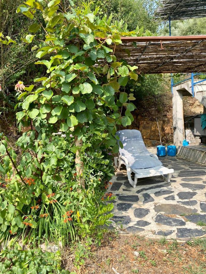 Guest Room Agro-Turismo Quinta Da Fonte Bed&Breakfast Figueiro Dos Vinhos Exterior foto
