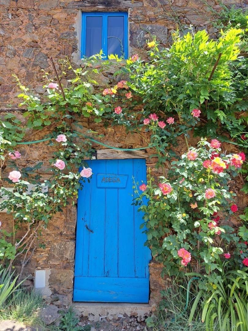 Guest Room Agro-Turismo Quinta Da Fonte Bed&Breakfast Figueiro Dos Vinhos Exterior foto