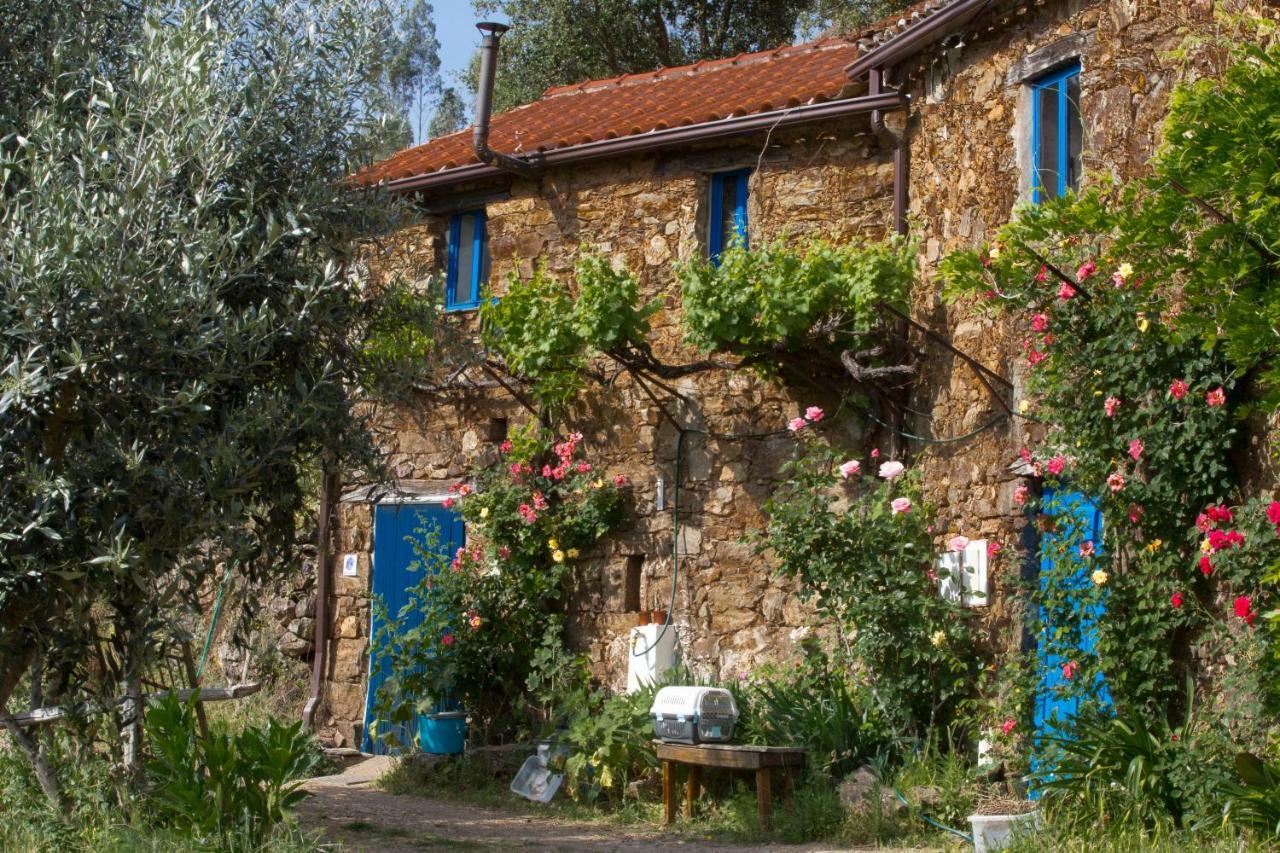 Guest Room Agro-Turismo Quinta Da Fonte Bed&Breakfast Figueiro Dos Vinhos Exterior foto